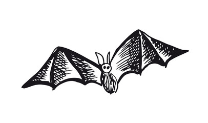 Fototapeta premium Flying bat, grunge illustration, vector.