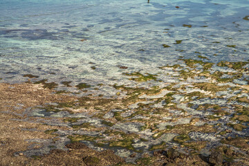 Landscape of travel place with nature at a beach and tropical sea  and have a reef and rock beach