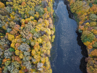 Aerial Landscape - Wild River In Autumn
