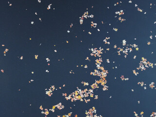 Fototapeta premium Aerial - Leaves In Still River