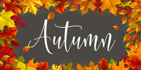 Greetings and gifts for the autumn and autumn season concept. Autumn background, poster and banner template with colorful autumn leaves.