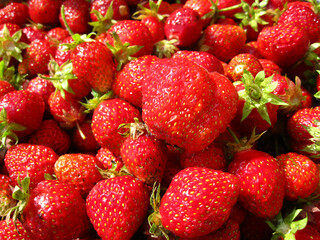 strawberries in a market