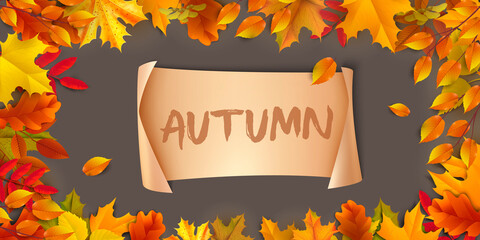 Greetings and gifts for the autumn and autumn season concept. Autumn background, poster and banner template with colorful autumn leaves.