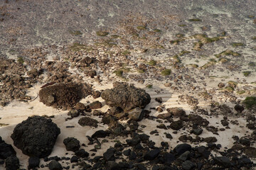 coral reefs on lombok island, Indonesia