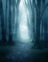 Een donker en humeurig bospad bedekt met mist. Foto composiet.