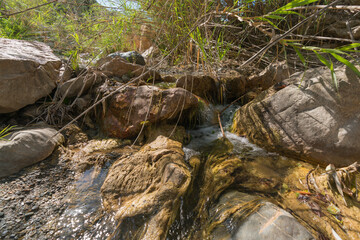 Crystal clear river surrounded by vegetation and stones