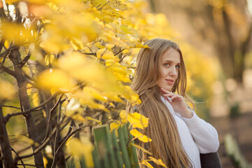 Portrait of a beautiful young woman against a background of colorful golden foliage in an autumn park. Attractive woman with light brown hair near the fence and bushes with yellow leaves. Fall season.