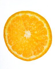 one orange circle isolated on white background