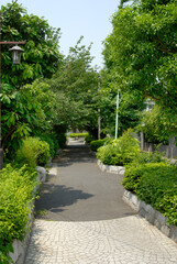 桃園川緑道（東京都杉並区阿佐ヶ谷南2丁目付近）