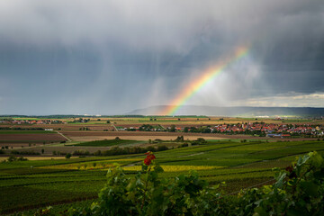 rainbow over the field
