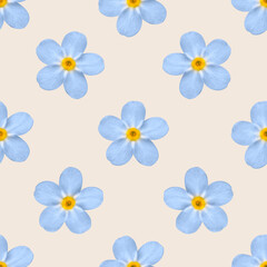 The seamless pattern with the beautiful blue flowers on the beige background.