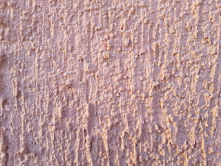 beautiful abstract texture of embossed decorative background with beautiful petals on the wall