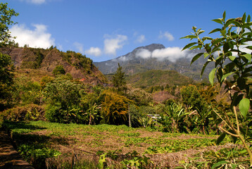 landscape of island of Reunion,