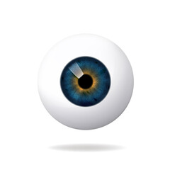 Human eyeball, retina on white background, blue eye, vector icon.