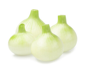 fresh salad onion bulbs isolated on white