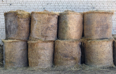 Eight rolls of hay for feeding the horses are stored near the stable