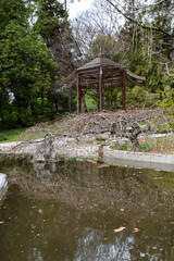 Fototapeta na wymiar Japanese - style garden, early spring. Gardening - a garden in Eastern culture