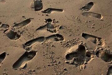 footprint in sand