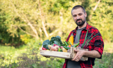 Farmer holding wooden Box full of Vegetables on the organic farm. Portrait of smiling caucasian bearded man in the green garden.