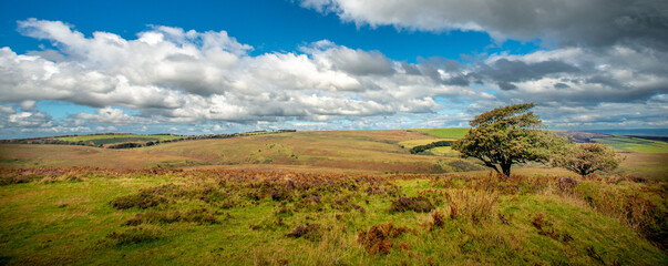 Obraz premium Exmoor looking north from Wilmersham Common