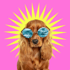 Vacation. Modern design. Contemporary art collage with cute dog and trendy colored background with geometric styled elements. Inspirative art, pets, animal, style and fashion concept. Copyspace.