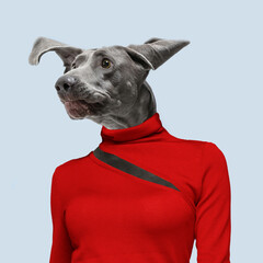 Attented. Modern design. Contemporary art collage with cute dog and trendy colored background with geometric styled elements. Inspirative art, pets, animal, style and fashion concept. Copyspace.