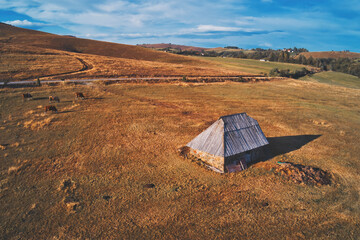 Obraz premium Traditional cowherds's cottage on pasture field on mount Zlatibor in Serbia