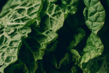  fresh chinese cabbage or napa cabbage texture background . healthy food concept .