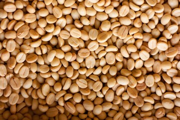 Parchment Arabica coffee for background