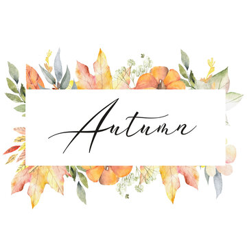 watercolor autumn background Watercolor autumn leaves