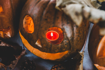 carved pumpkin lantern for halloween - attribute for the holiday