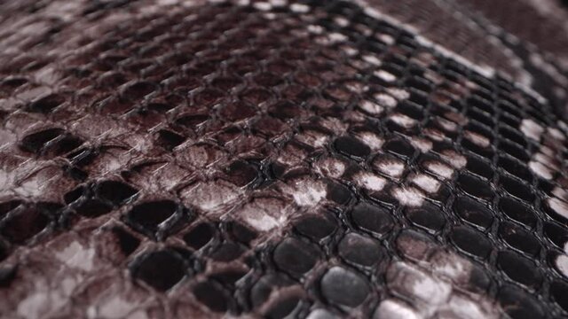 A snake's skin. Exotic Leather Hides. Real leather texture very close up. Natural pattern. Fashion and clothing industry, Bags, belts and shoes, Leather upholstery furniture