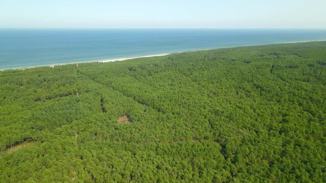 Drone slow push in over green forest towards Stilo Lighthouse  and Baltic sea - lighthouse located in Osetnik (formerly Stilo) on the Polish coast of the Baltic Sea, close to the village of Sasino,