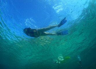Fototapeta na wymiar snorkel in the crystal clear waters of the island of Curacao