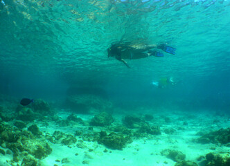 Fototapeta na wymiar snorkel in the crystal clear waters of the island of Curacao