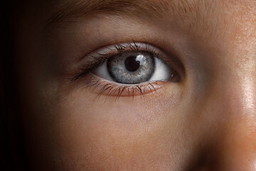 beautiful gray macro baby eyes