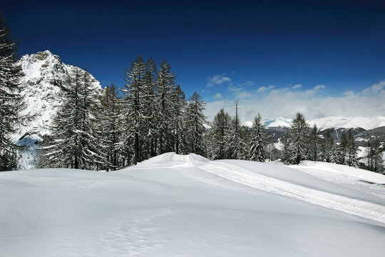 Ski tracks in the snow under the Croda Rossa di Sesto mountain (German: Sextener Rotwand) or Zehner is a mountain in the Sexten Dolomites in South Tyrol, Italy - UNESCO World Heritage Site