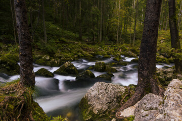Bollinger Wasserfälle, Österreich, fließendes Wasser