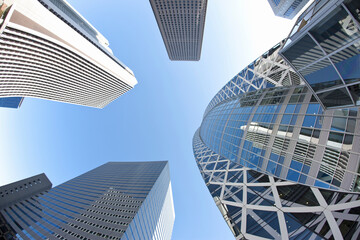Fototapeta na wymiar 新宿の高層ビル群