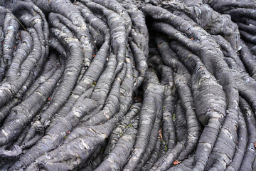 Wavy surface of black solidified lava.