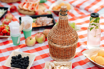 Picnic concept, on a plaid in a cage everything you need for a picnic: a bottle of wine, berries, fruits, lemonade, vegetables
