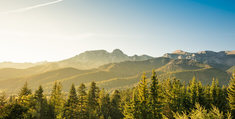 Golden sunrise, green trees and blue sky over silhouette of Tatra Mountains in Poland - view from Koscielisko near Zakopane