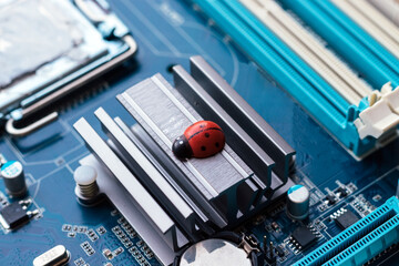 Little red ladybug on a blue motherboard. Concept of computer virus or bug, system failure, problem with technology, software or hardware