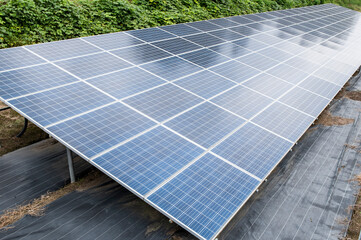 太陽光パネル。太陽光発電。