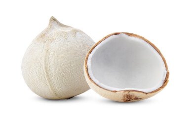  young coconut nuts on white background