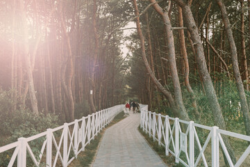 A long paved walkway lined with a white picket fence leading to tall evergreen trees against a blue sky.