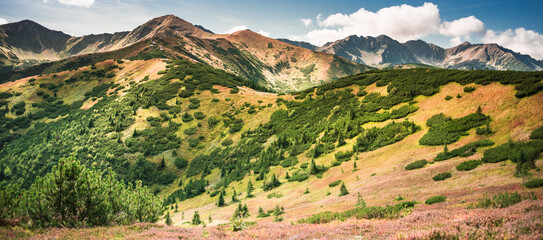 Autumn scenery in Tatra Mountains - Dlugi Uplaz - path from Rakon to Wolowiec