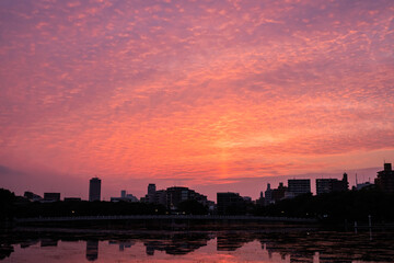 大濠公園の印象的な夕景