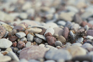 pebbles on the beach