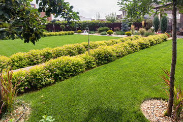 Modern Garden landscape design with  path. Green grass  lawns and shrubs.Green area around a house.